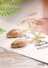 Boho Earrings, Dangle Earrings, Starfish Shell Cowrie White Gold